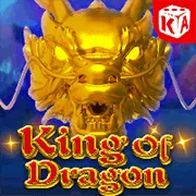 Biểu tượng minh họa việc thu thập và bảo mật dữ liệu trên VIP79, với các lớp mã hóa và bảo vệ.